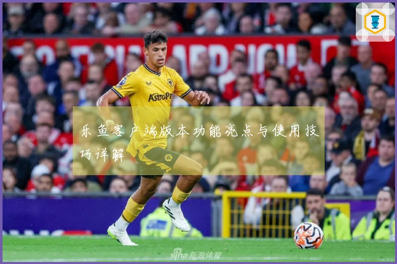 乐鱼客户端版本功能亮点与使用技巧详解