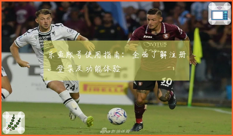 乐鱼账号使用指南：全面了解注册、登录及功能体验