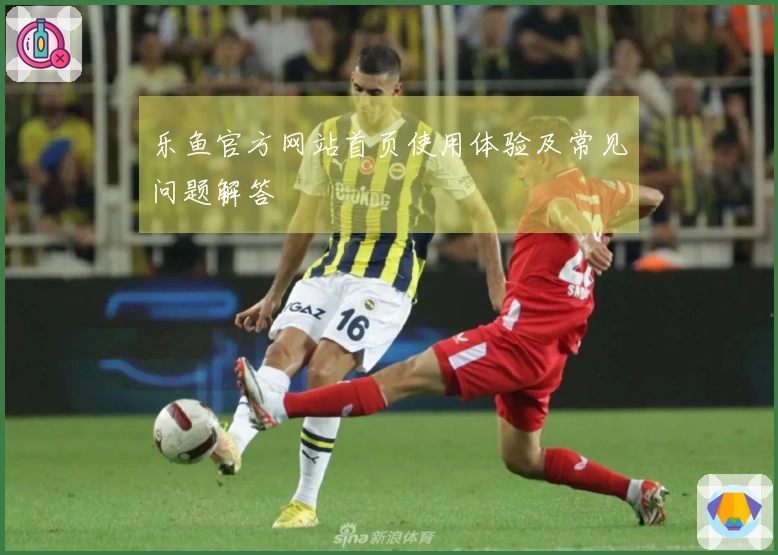 乐鱼官方网站首页使用体验及常见问题解答