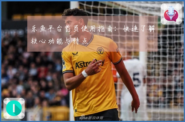 乐鱼平台首页使用指南：快速了解核心功能与特点