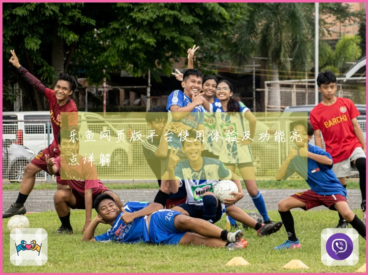 乐鱼网页版平台使用体验及功能亮点详解