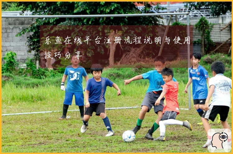 乐鱼在线平台注册流程说明与使用技巧分享