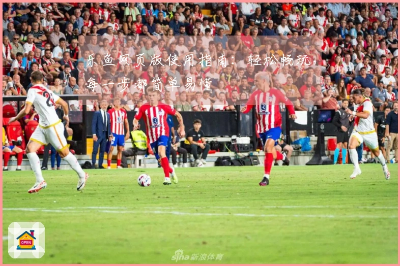 乐鱼网页版使用指南：轻松畅玩，每一步都简单易懂